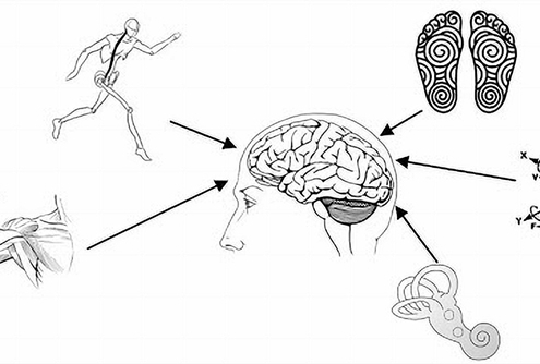 Movimento somatico ginnastica dolce biosomatica lodi