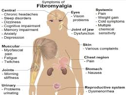 fibromialgia dolori mucolari ginnastica dolce biosomatica lodi